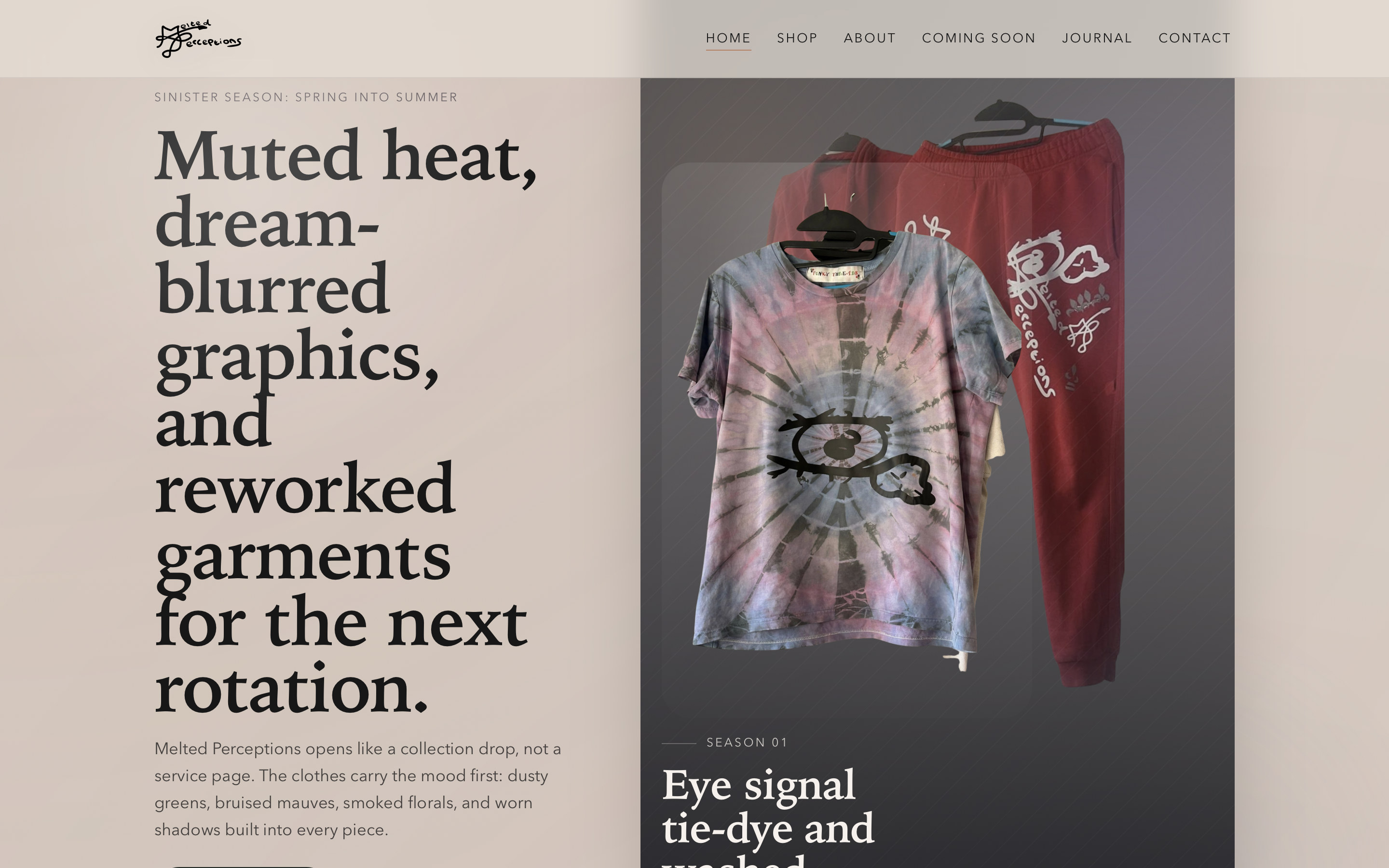 Preview of the Melted Perceptions website